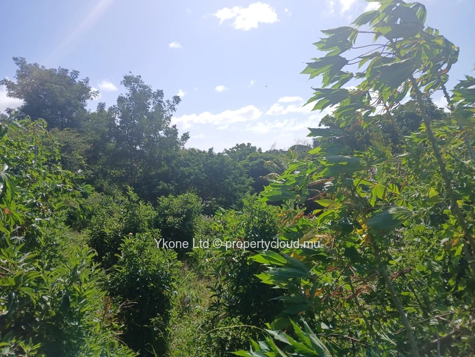 Agricultural Land For Sale In Bois Pignolet, Terre Rouge