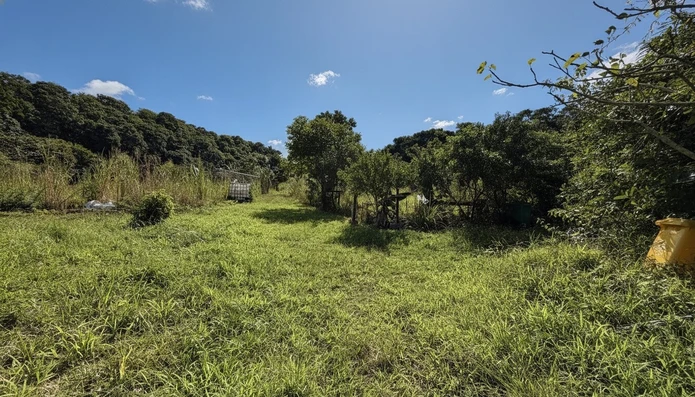 Domaine agricole extraordinaire en bord de rivière | 17 224 m² (1,7 hectare) | Potentiel écotouristique infini