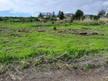 Land