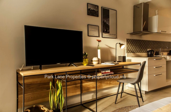 Modern & stylish studio apartment in Ebene