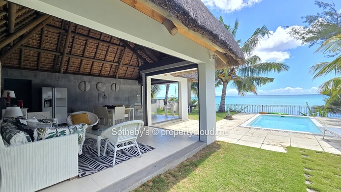 Tropical Dream