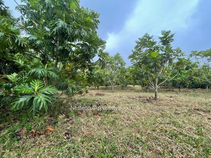 Terrain agricole de 103,2 Perches/4 357,92 m² 