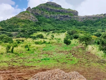 Residential Land