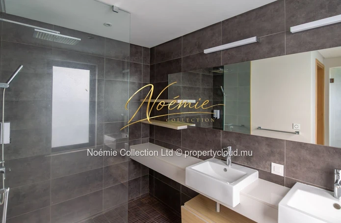 A vendre Penthouse D'exception à Choisy Les Bains -avec Jacuzzi Privatif