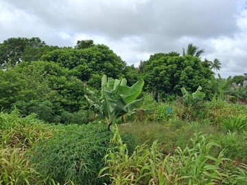 Residential Land