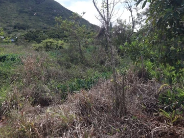 Residential Land