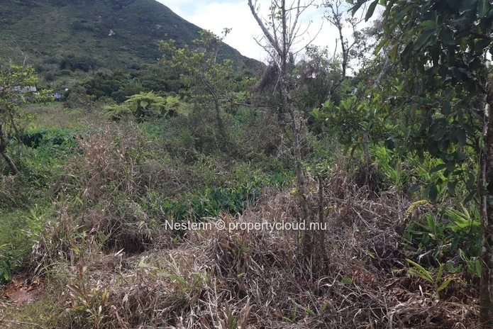 Terrain de 49 Perches, vue imprenable sur la montagne, idéal pour votre maison de rêve ou pour un investissement.