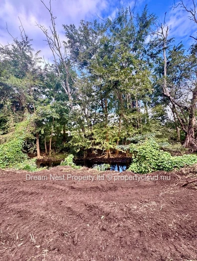 Terrain Agricole À Vendre – Rivière Noire