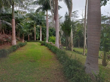 Prime Agricultural Land for Sale in Chamarel
