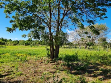 Terrain Agricole