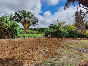 Agricultural Land