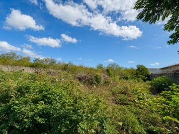 Commercial Land