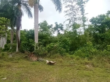 Agricultural Land