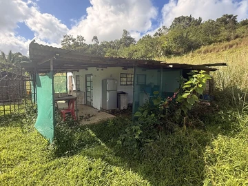 Agricultural Land