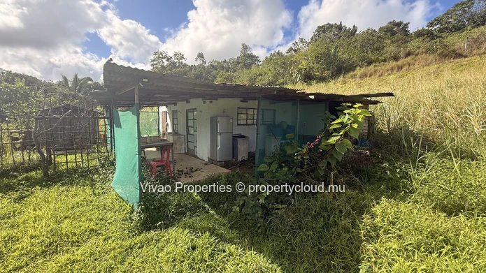 20,466sqm Prime Agricultural Land for Sale in L'Escalier - Rs