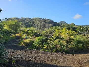 Terrain Résidentiel