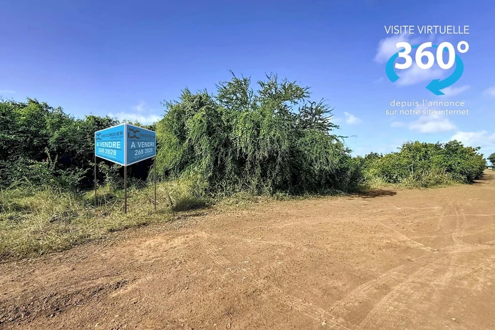 Agricultural Land for Sale – Saint Antoine
