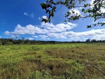 Land