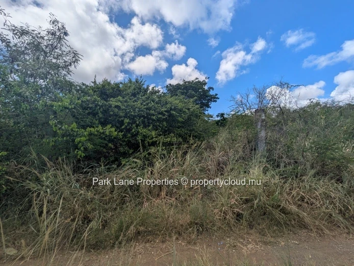 À vendre – Terrain résidentiel de 4 206 m² à Petit Raffray