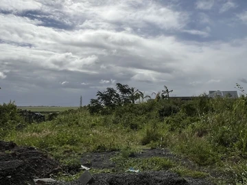 Land
