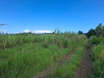 Residential Land