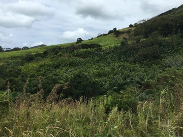 Agricultural Land