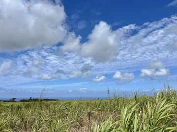 Agricultural Land