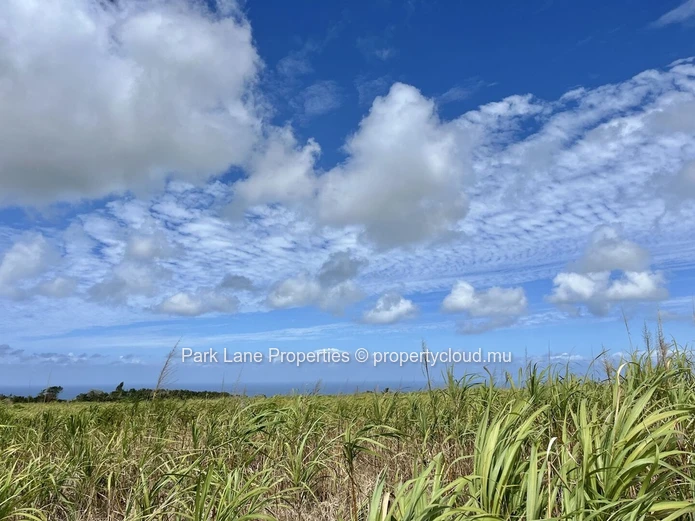 Agricultural Land for Sale in Chamouny, Mauritius – 20.80 Acres 