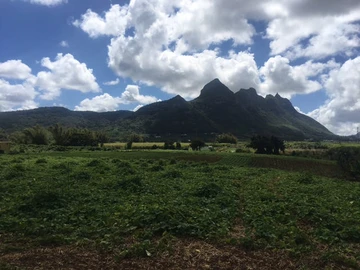 Agricultural Land