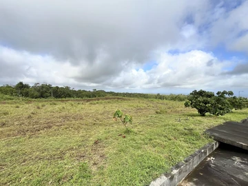 Residential Land