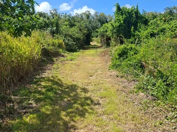 Residential Land