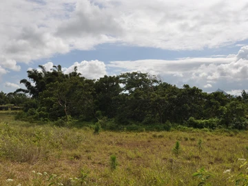 Residential Land