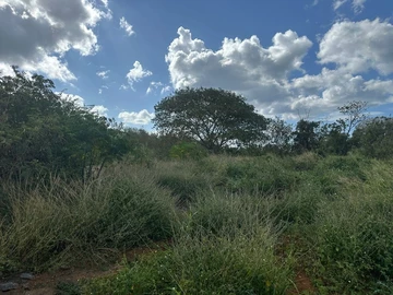 Residential Land