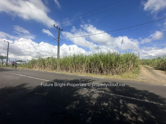 Terrain agricole de 16 292 m² à vendre à Melrose
