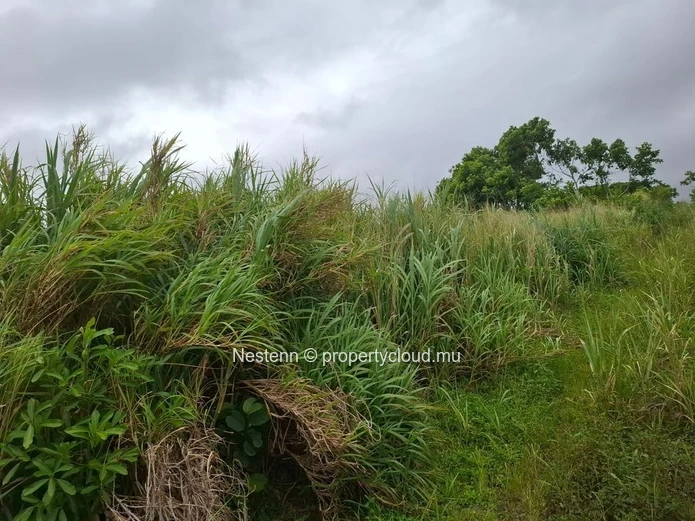 Agricultural land of 4050.20 m², ideally located in the peaceful and green surroundings 