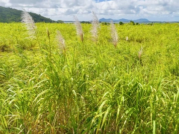 Great opportunity to invest in an agricultural plot of land in the Midlands !