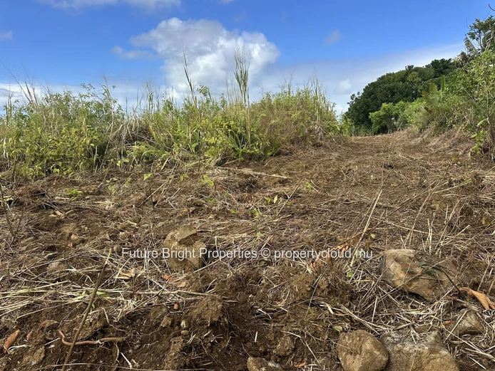 206 perches Agricultural Land for Sale in Providence Quartier Militaire.
