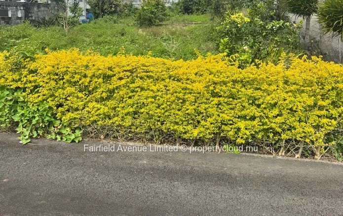 Terrain résidentiel de 506 m² à vendre a Petit Verger