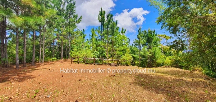 A VENDRE - Ce magnifique terrain de 4 arpents situé dans un cadre enchanteur à Plaine Champagne