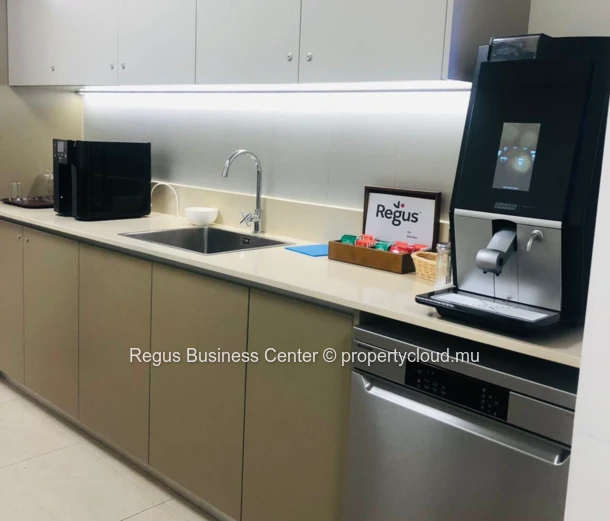Espace de bureau privé pour 3 personnes à Regus Downtown
