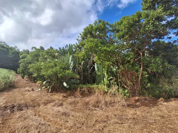 Agricultural Land