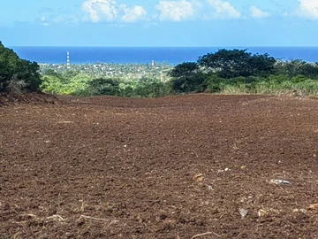 Terrain Agricole