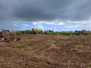 Residential Land