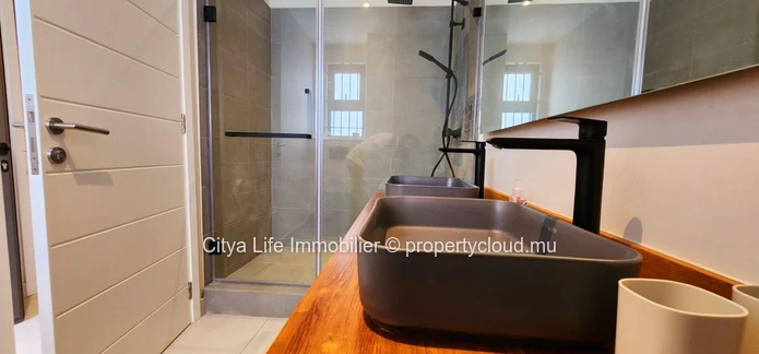 Superbe Appartement Pieds dans l’Eau à Poste Lafayette