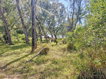 Terrain