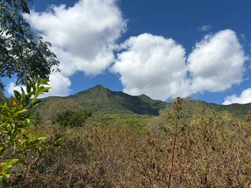 Terrain Résidentiel