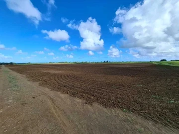 Commercial Land