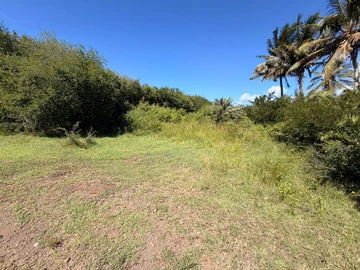Residential Land
