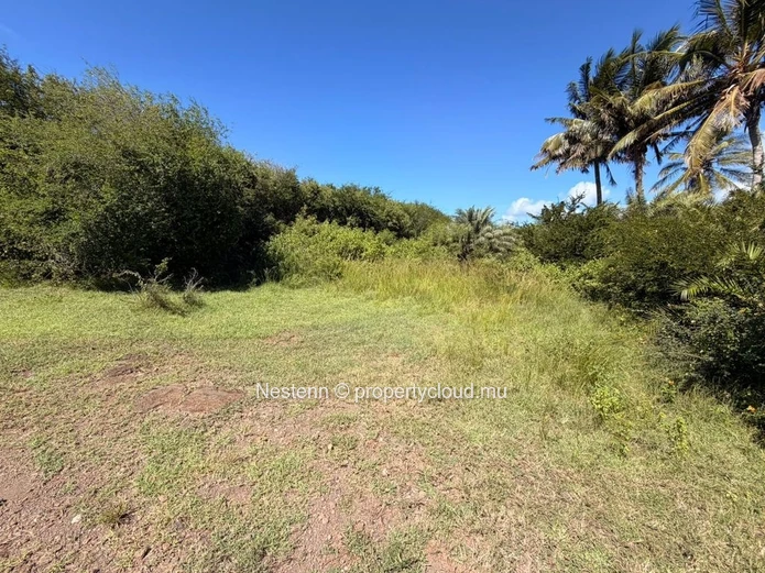 Terrain exceptionnel de 675,35 m² 