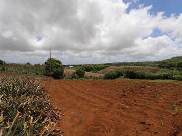 Terrain Résidentiel